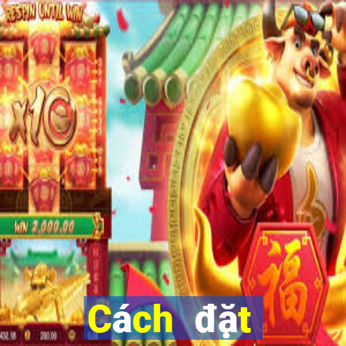 Cách đặt cược XSTB Thứ 2