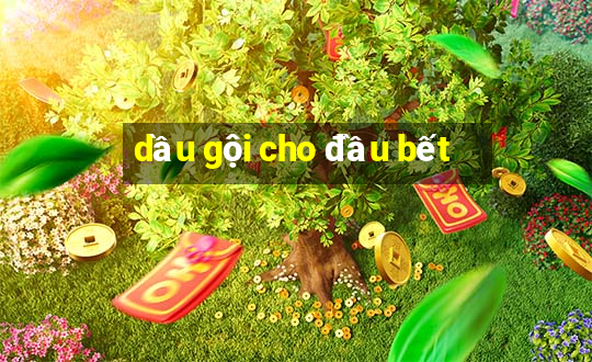 dầu gội cho đầu bết