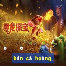 bán cá hoàng bảo yến tại hà nội