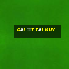 Cài đặt Tài huy