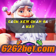 cách xem chân gà đá hay