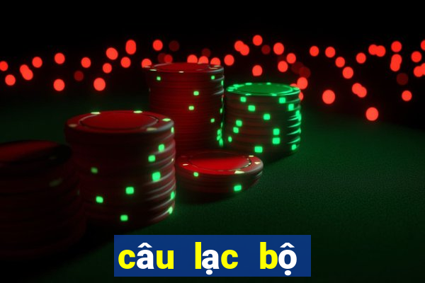 câu lạc bộ bóng đá hà nội