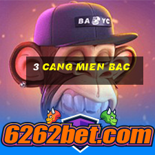 3 cang mien bac