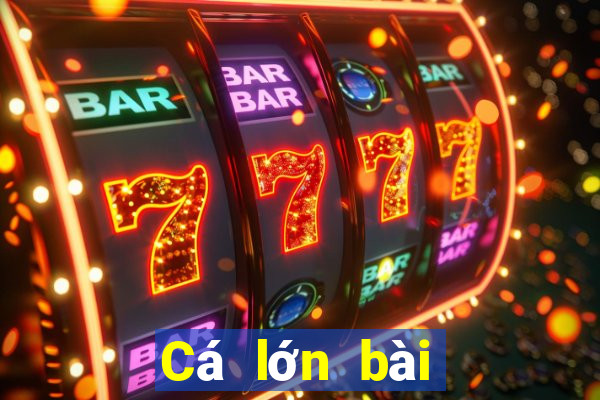 Cá lớn bài poker Android