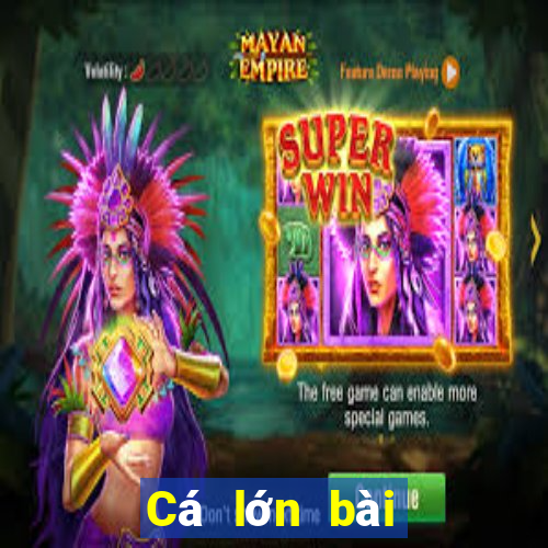 Cá lớn bài poker Android