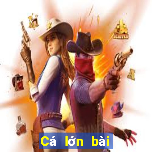 Cá lớn bài poker Android