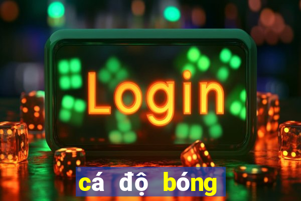 cá độ bóng đá 188loto