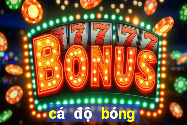 cá độ bóng đá 188loto