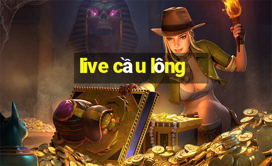 live cầu lông