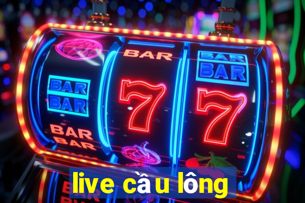 live cầu lông