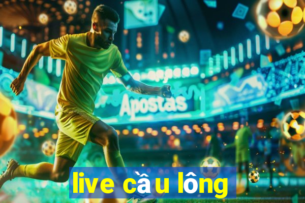 live cầu lông