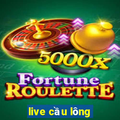 live cầu lông