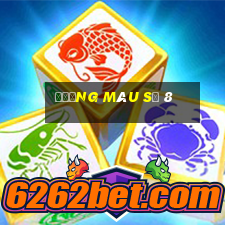 Đường màu số 8