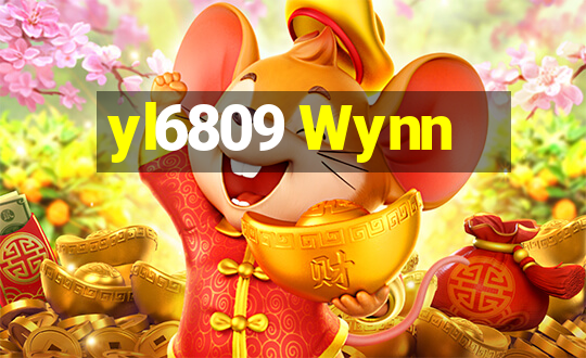 yl6809 Wynn