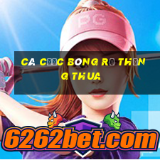 Cá cược bóng rổ thắng thua