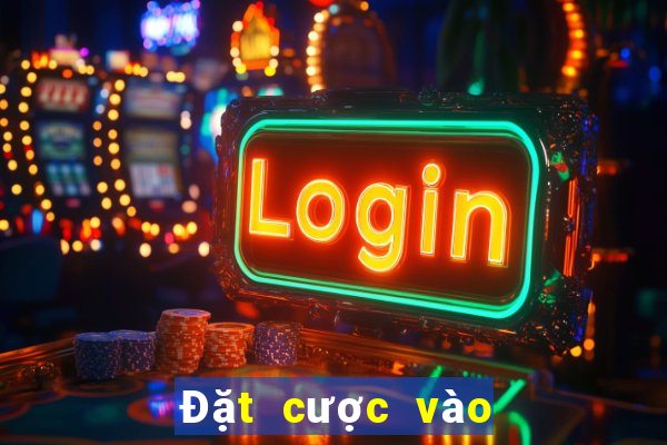 Đặt cược vào bóng rổ lăn