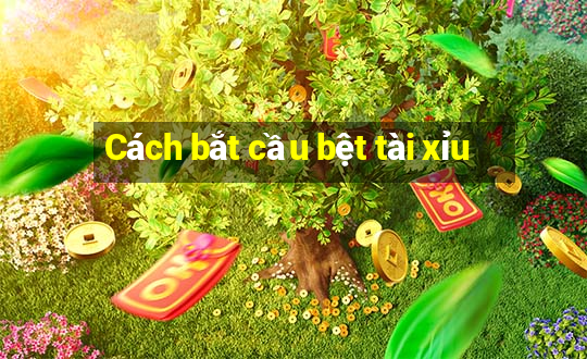 Cách bắt cầu bệt tài xỉu