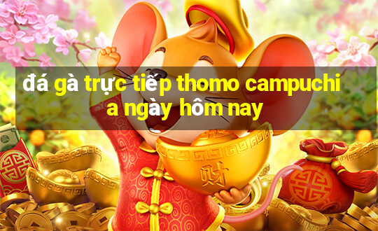 đá gà trực tiếp thomo campuchia ngày hôm nay