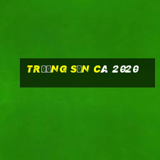 trường săn cá 2020