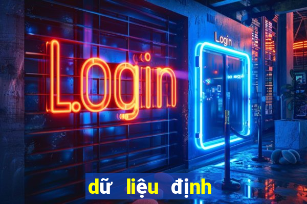 dữ liệu định lượng là gì