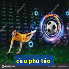 cầu phú tảo