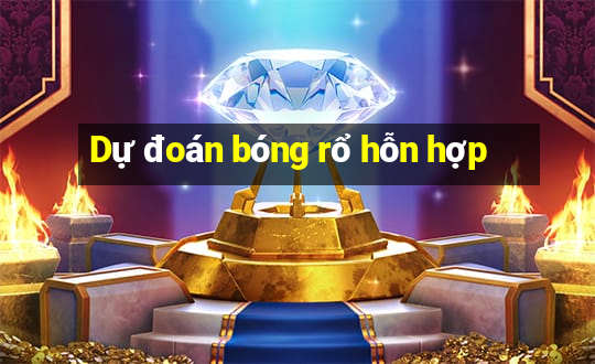 Dự đoán bóng rổ hỗn hợp