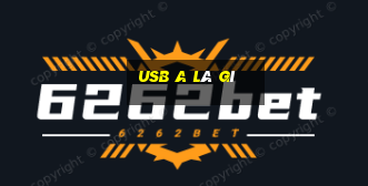 usb a là gì