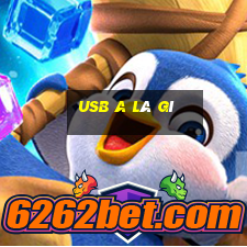 usb a là gì