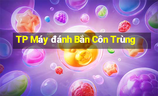 TP Máy đánh Bắn Côn Trùng