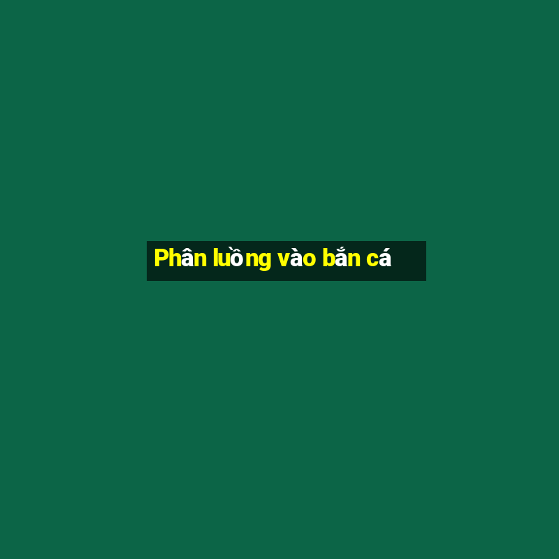 Phân luồng vào bắn cá