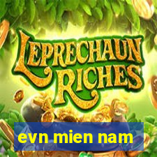 evn mien nam