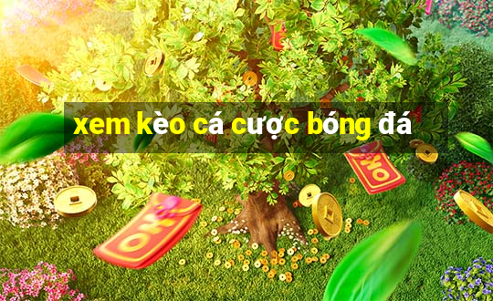 xem kèo cá cược bóng đá