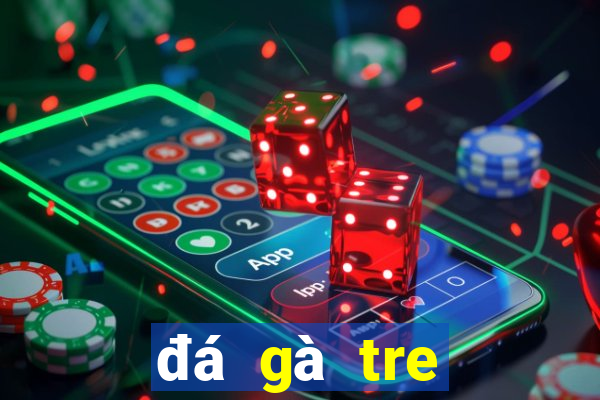 đá gà tre miền tây