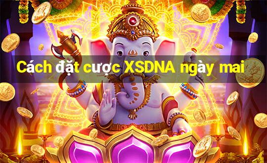 Cách đặt cược XSDNA ngày mai