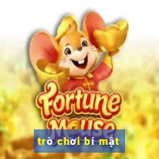 trò chơi bí mật