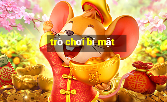 trò chơi bí mật