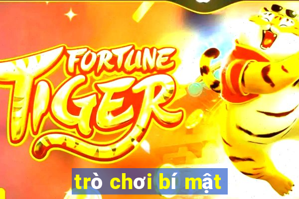 trò chơi bí mật