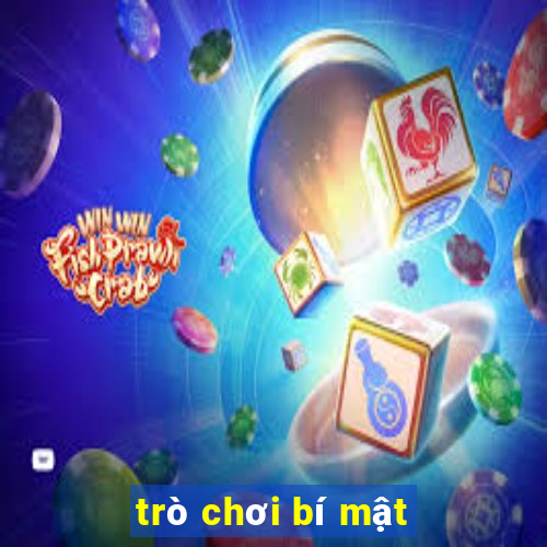 trò chơi bí mật