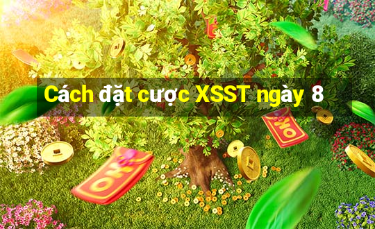 Cách đặt cược XSST ngày 8