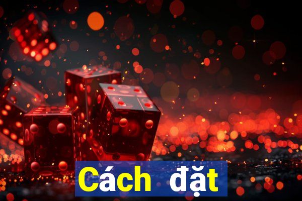 Cách đặt cược XSST ngày 8