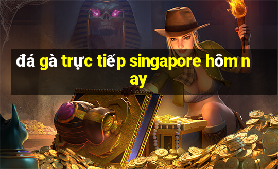 đá gà trực tiếp singapore hôm nay