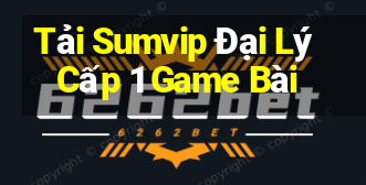 Tải Sumvip Đại Lý Cấp 1 Game Bài