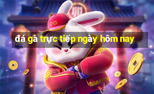 đá gà trực tiếp ngày hôm nay