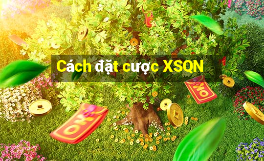 Cách đặt cược XSQN