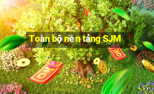 Toàn bộ nền tảng SJM