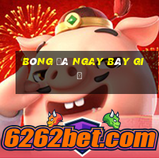 bóng đá ngay bây giờ