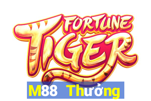 M88 Thưởng thức bull bull