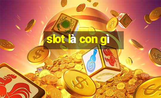 slot là con gì