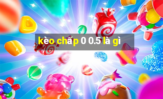 kèo chấp 0 0.5 là gì