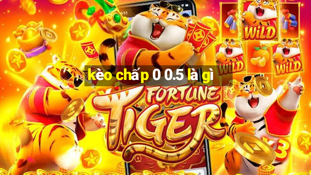 kèo chấp 0 0.5 là gì